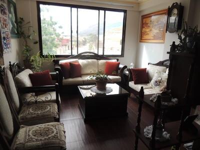 vendo-departamento-inmediaciones-el-castillo