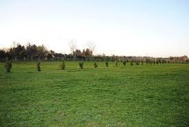 32000-lote-en-tarata-sin-muro