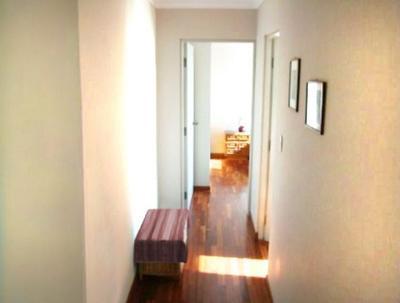 departamento-en-alquiler-zona-mayorazgo-inmediaciones-simon-lopez