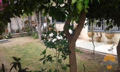 3-thumbnail-bonito-departamento-semi-independiente-en-pacata-central