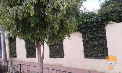 1-thumbnail-bonito-departamento-semi-independiente-en-pacata-central
