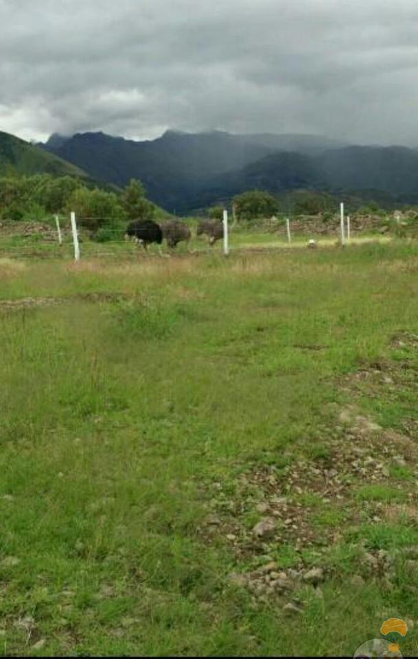 3-thumbnail-lote-en-venta-zona-potrero-quillacollo