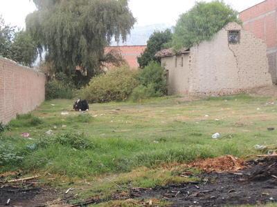 vendo-lote-en-vinto-sobre-1000-metros
