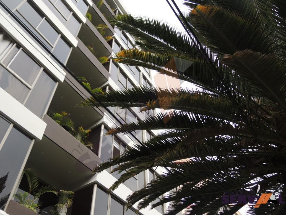 1-thumbnail-lindo-departamento-en-alquiler-full-proximo-las-islas