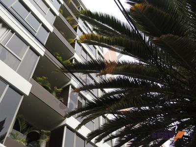 lindo-departamento-en-alquiler-full-proximo-las-islas