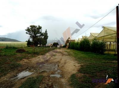 lote-sobre-18803-m2-en-pampa-grande