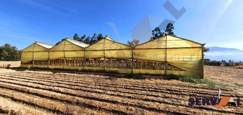 14-thumbnail-lote-sobre-18803-m2-en-pampa-grande